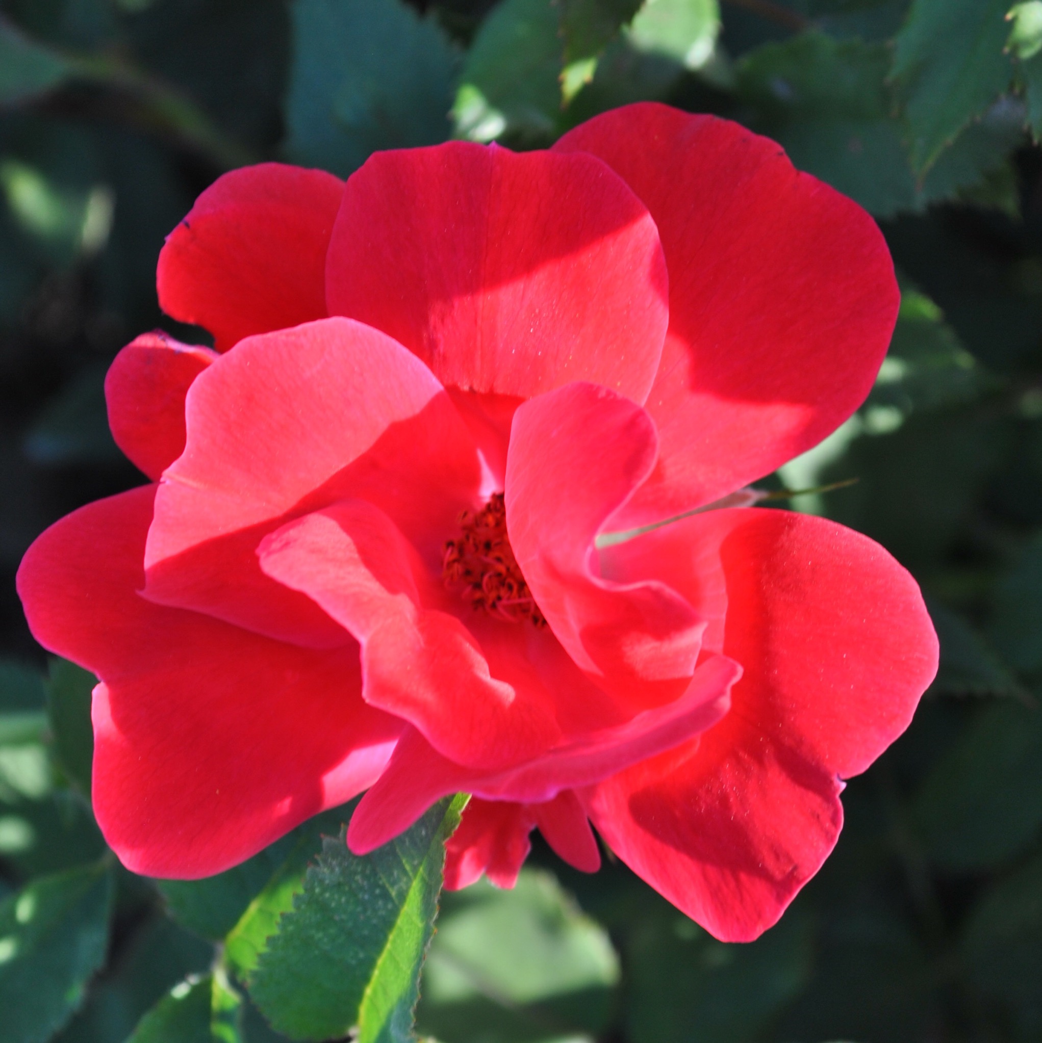 Нок Аут  (Knock Out) в Пензе