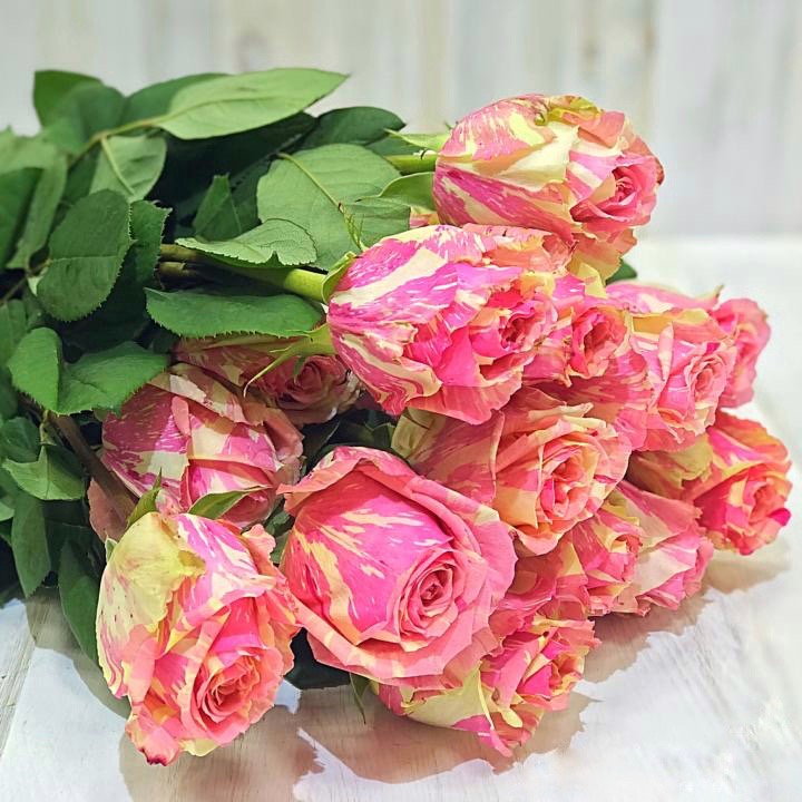 Фиеста (Fiesta) в Пензе