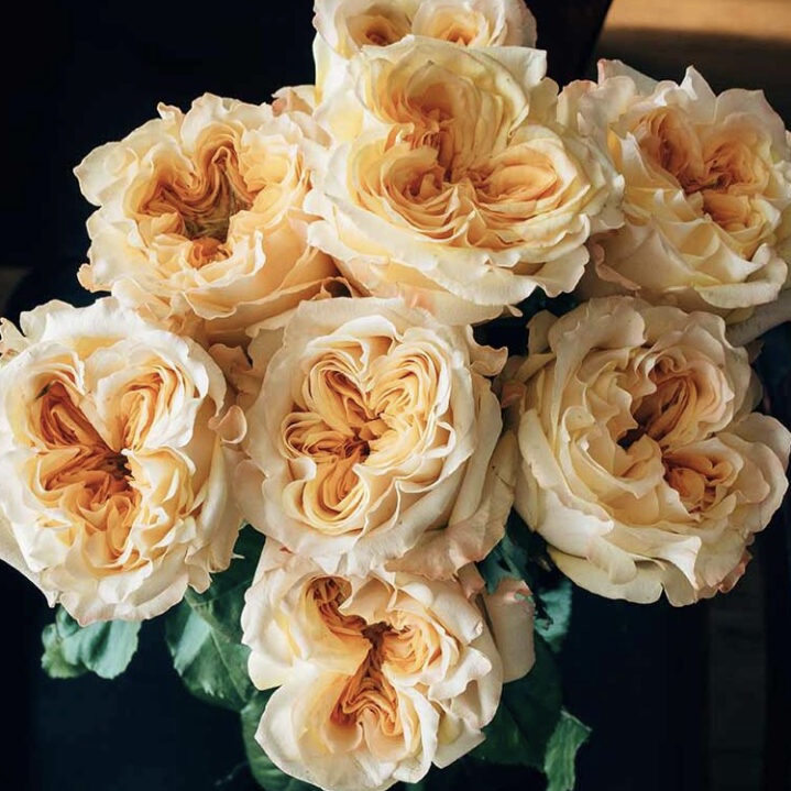 Веддинг Экспрешн  (Wedding X-Pression) в Пензе
