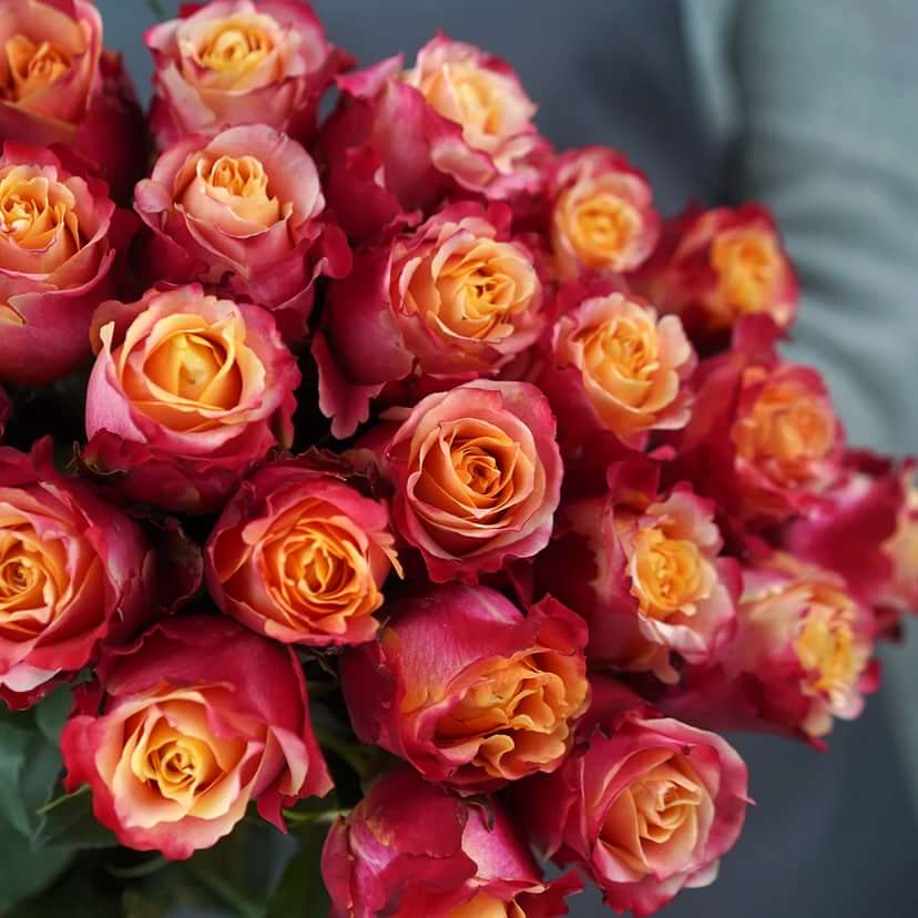 Три Д (3D) (3D) в Пензе