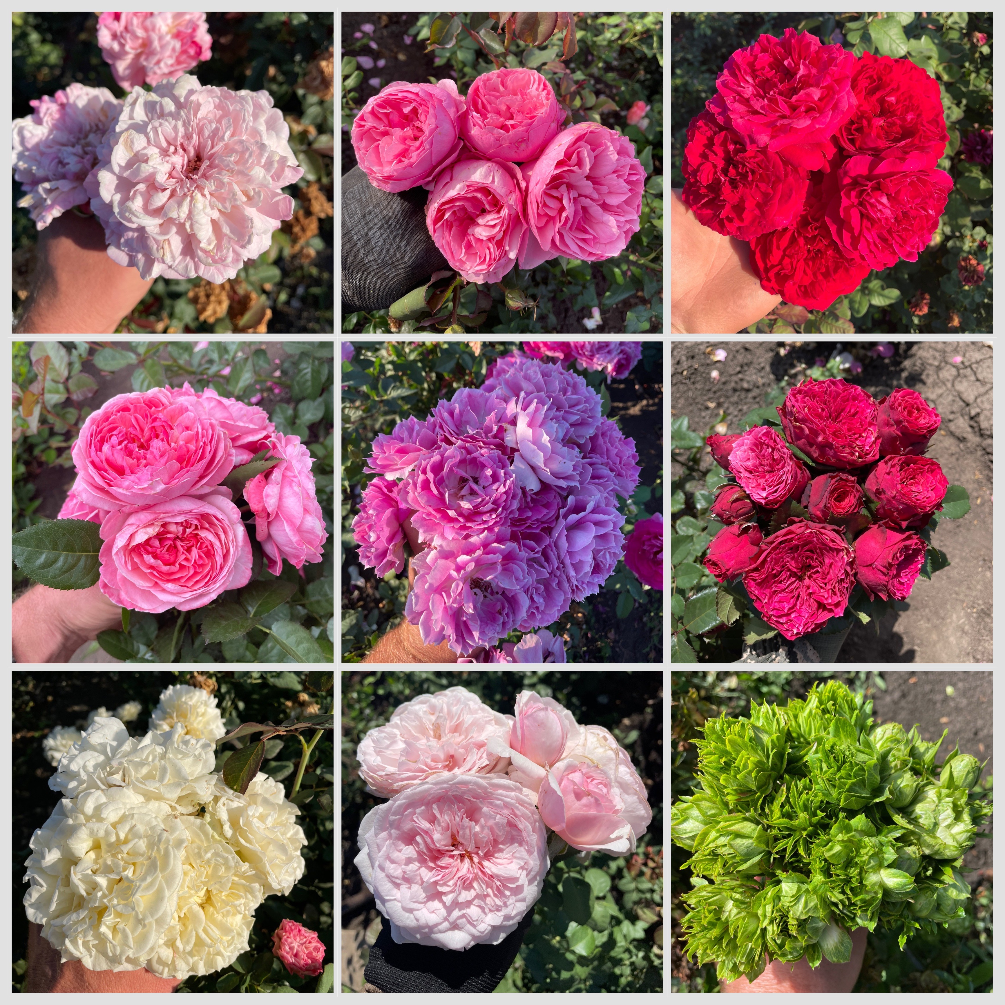 Мы открываем предзаказ на Весну 2026 года