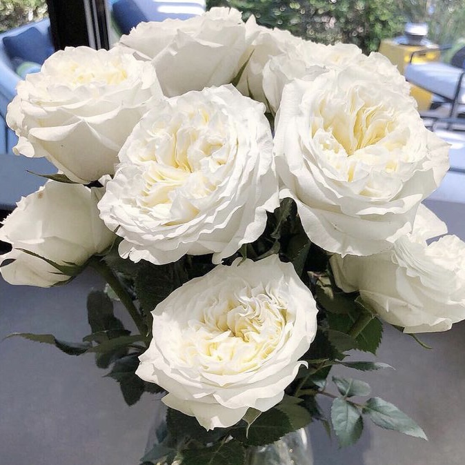 Майра Вайт  (Mayra’s White) в Пензе