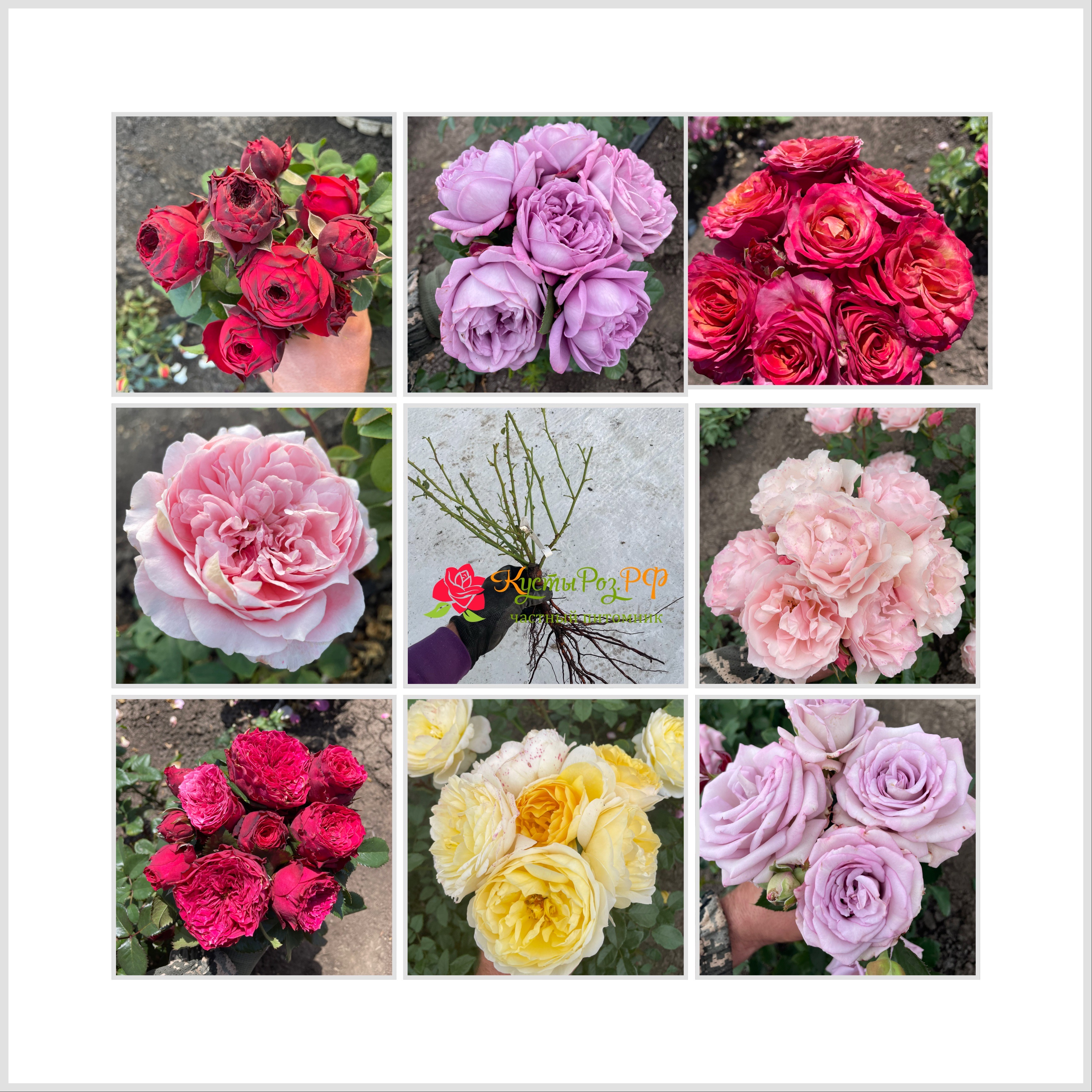 Отправка заказов Осень 2025 Сезонные Скидки