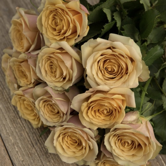 Голден Мустард (Golden Mustard) в Пензе